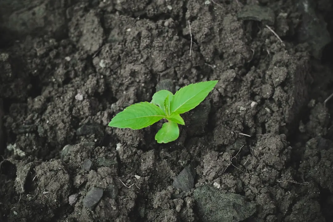 制造业成本核算实战指南：基于芸青ERP的精细化管控与优化方法