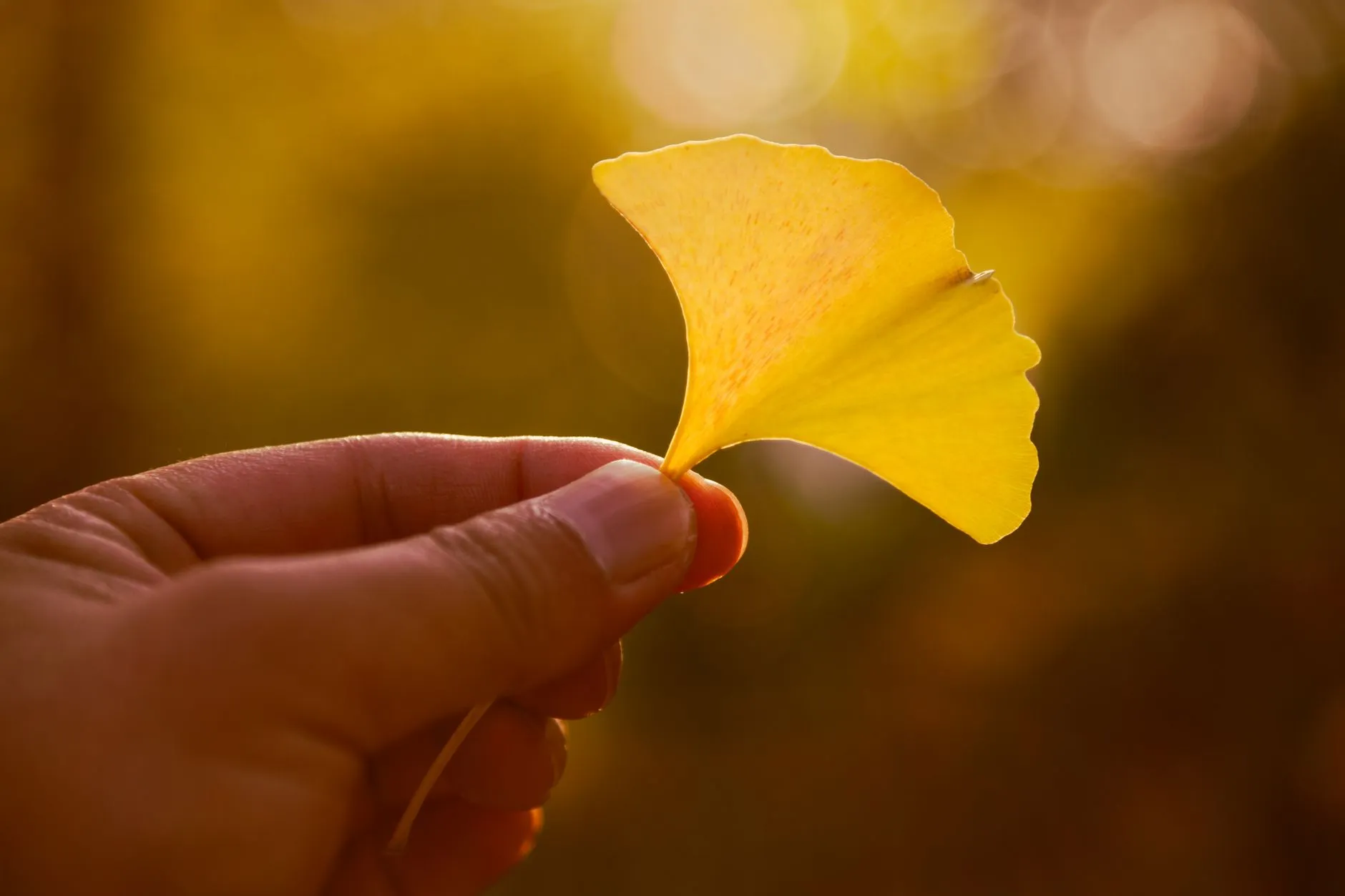 MES与ERP系统集成趋势分析：进销存管理如何打通生产排程的数据闭环